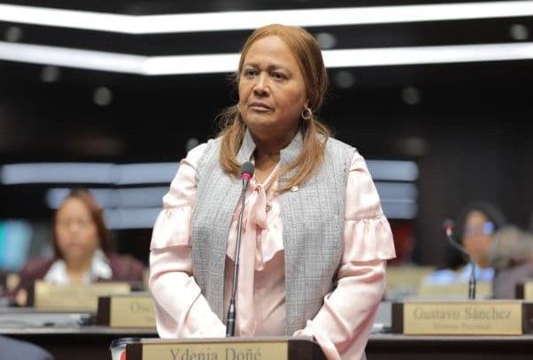 PLD nombra nueva vocera en la Cámara de Diputados