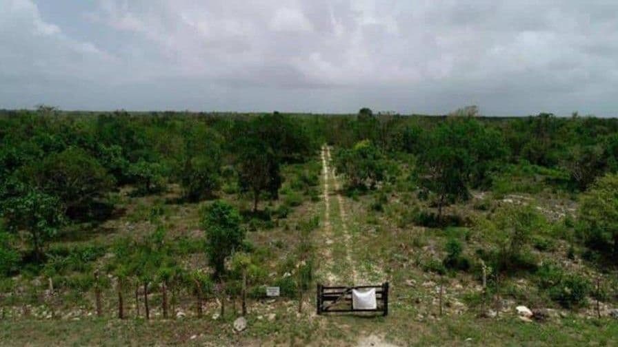 Caso del Aeropuerto de Bávaro se convierte en referencia académica