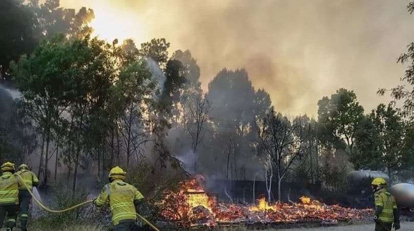 Francia despliega 200 bomberos ante incendio forestal en el sur
