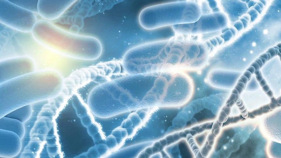 Avances en biología sintética: crean virus sintéticos con IA