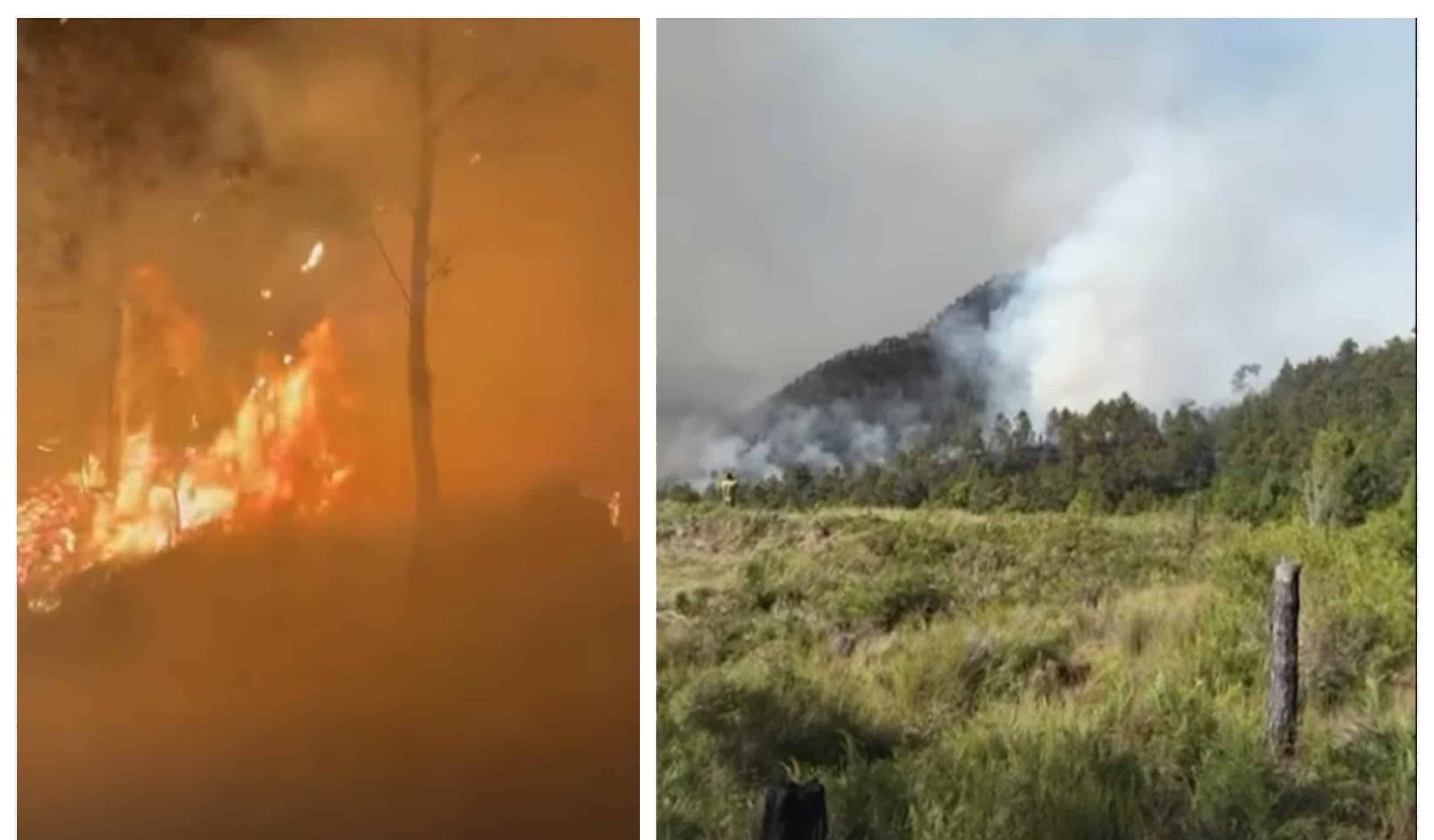 Incendio forestal amenaza Parque Nacional Valle Nuevo