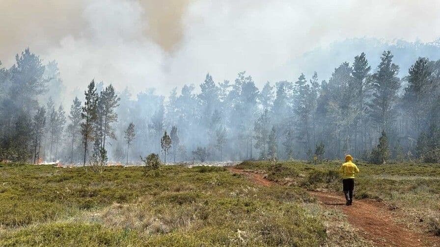 Medio Ambiente prohíbe quemas agrícolas sin autorización