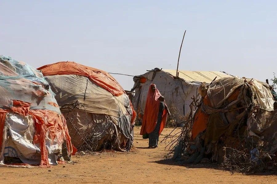 El hambre afecta a 645 millones de personas en el mundo, según informe de la ONU
