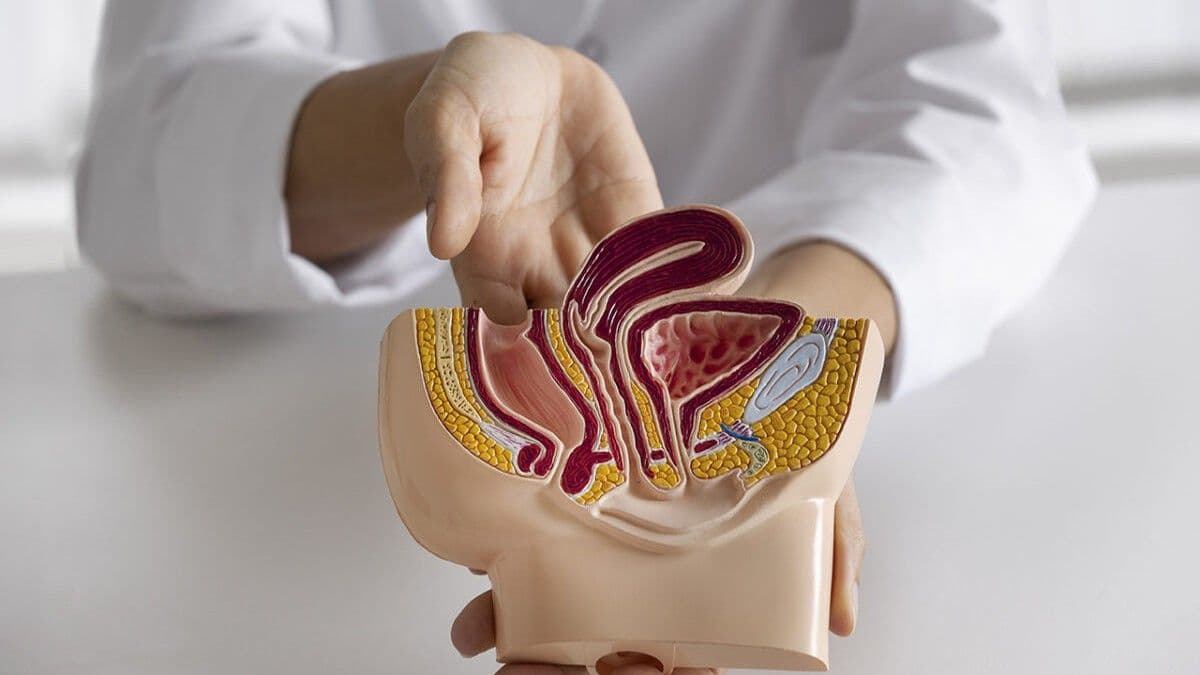 Avances tecnológicos mejoran tratamiento del cáncer urológico