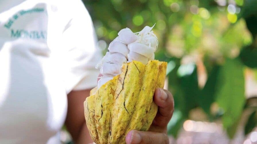 Cacao dominicano expande su oferta de productos derivados