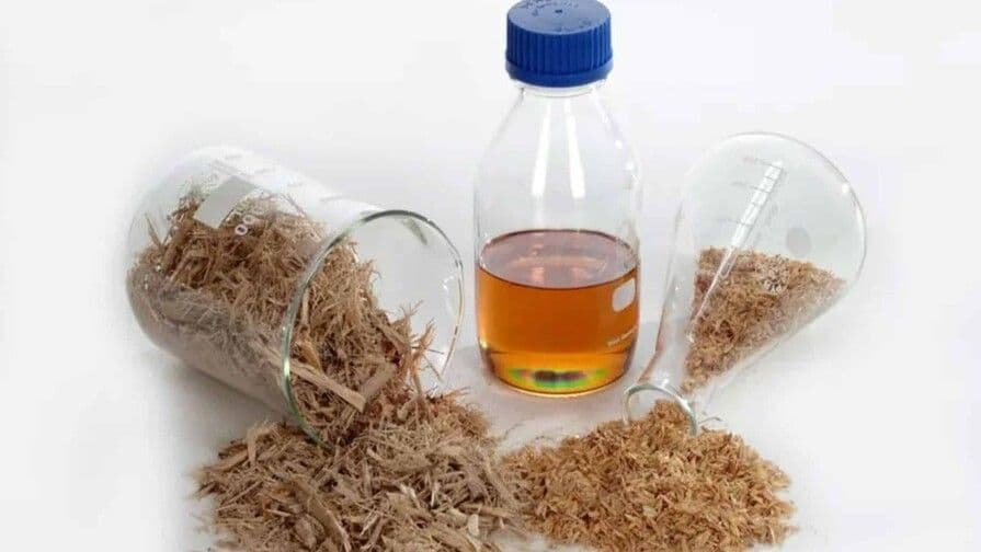 República Dominicana lidera exportación mundial de furfural