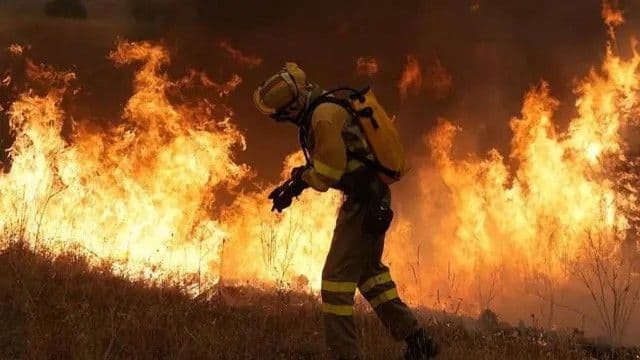 Devastador incendio en Ávila: el mayor en la historia reciente de España