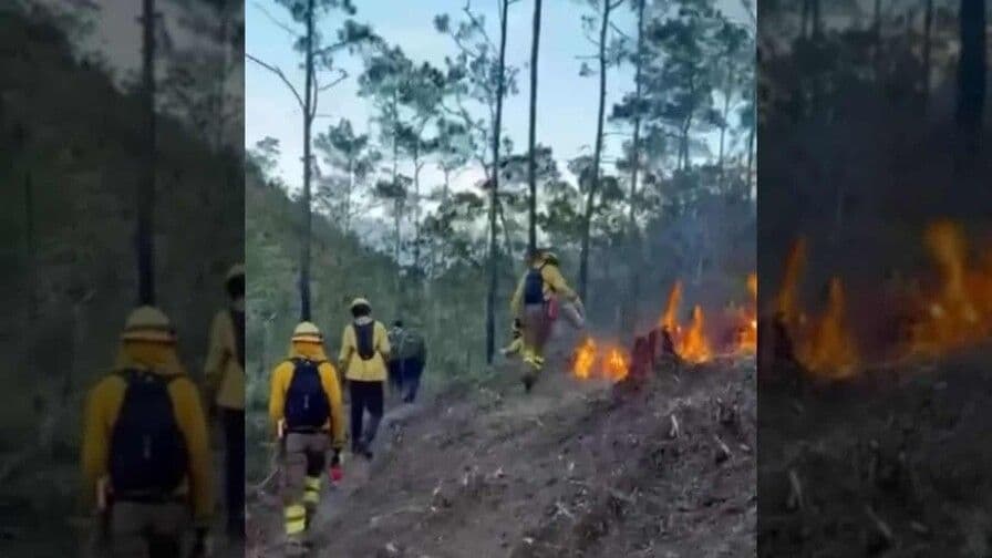 Incendio forestal en Valle Nuevo bajo control tras 36 horas de trabajo