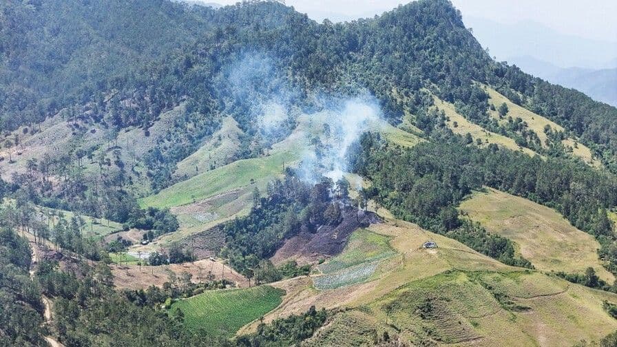 La disputa territorial tras hallazgo de mayor plantación de marihuana