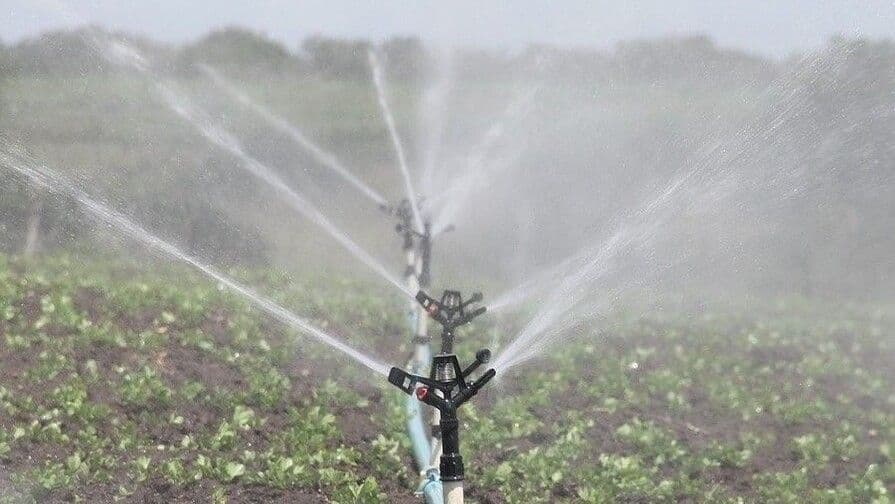 Reducción de lluvias afecta la agricultura en República Dominicana