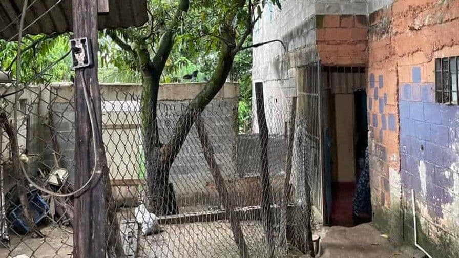 Rescatan a 13 niños de fundación en Haina por presunto maltrato infantil