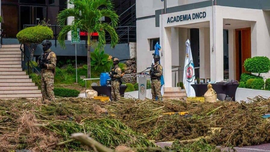 Operativos en Azua y Ocoa desmantelan plantaciones de marihuana