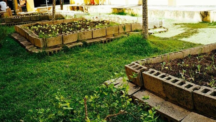 Ministerio de Educación impulsa reconocimiento a huertos escolares