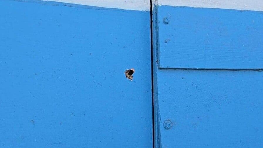 Adolescente fallece tras ser alcanzado por bala en Santiago