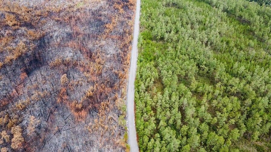 Observatorio exige acciones concretas contra el 'terrorismo ambiental'
