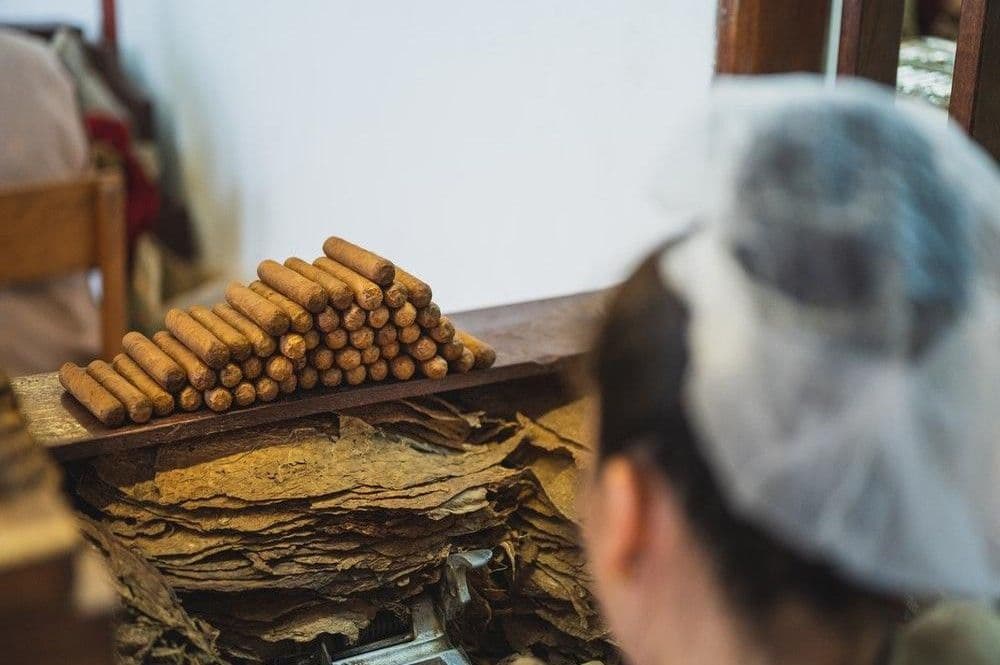 Industria del tabaco genera más de 122,000 empleos directos en RD