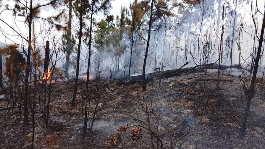 Incendios en Valle Nuevo: Identificados responsables, pero sin detenciones