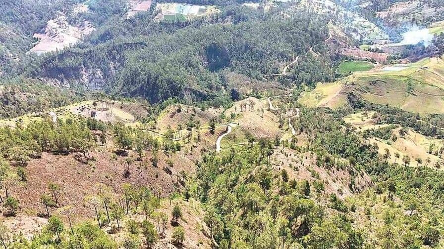 Las lomas de Ocoa se enfrentan al espejo del narcocultivo